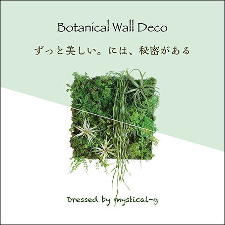 Botanical Wall Deco ボタニカルウォールデコ
